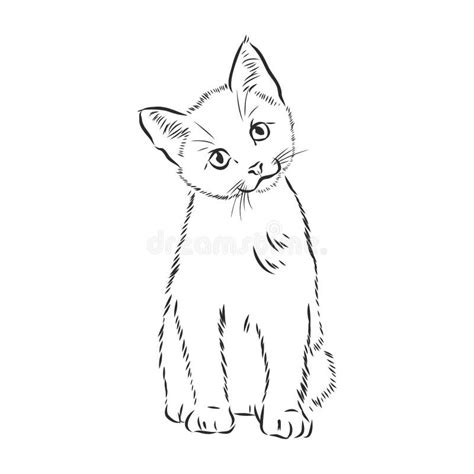 Kitty Realistic Kitty Cute Cat Drawing - halvedtapes