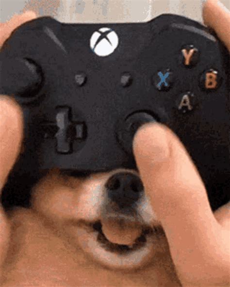 Game Dog Game Controller GIF - GameDog GameController DoggyNose - Discover & Share GIFs