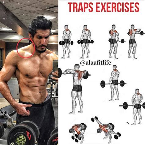 Traps exercises