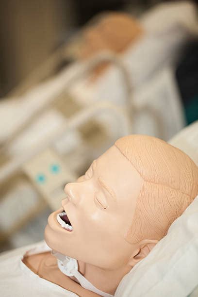 Medical Simulation Mannequins Stock Photos, Pictures & Royalty-Free Images - iStock