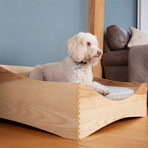 Are Elevated Dog Beds Comfortable