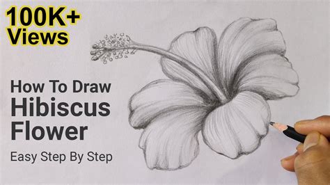 How To Draw Hibiscus Flower Easy Step By Step | Drawing Lesson 6 ...