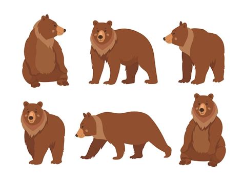 Bear illustration Vectors & Illustrations for Free Download | Freepik