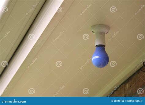 Outdoor blue Lightbulb stock photo. Image of electric - 36840190