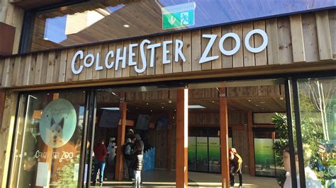 Colchester Zoo! - YouTube