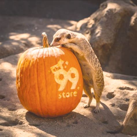 Trick-or-treat at Boo at the LA Zoo - Beverly Press & Park Labrea NewsBeverly Press & Park ...