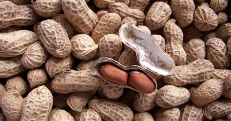 Is the Peanut Man-made? (History of the Peanut) - GIY Plants