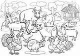 Desenhos Para colorir De Animais fazenda  Google Search Zoo Animal sketch template