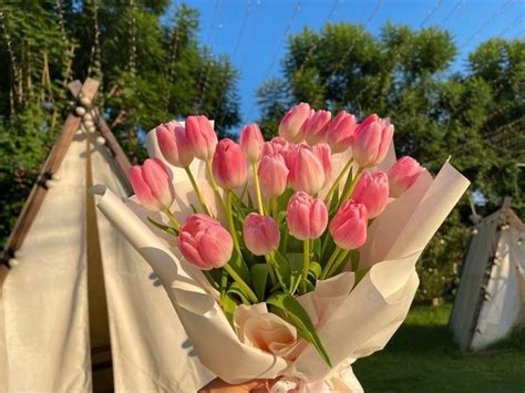 Pink Tulips Bouquet