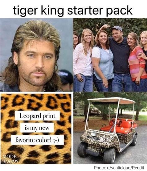 Twenty-Eight Memes From 'Tiger King,' Our New Favorite Show | Funny memes, Memes, King meme