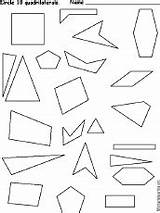 Quadrilaterals Coloring Activity Pages sketch template