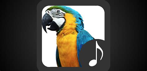 Parrot Sounds - Apps on Google Play