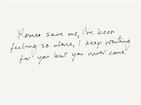 Taylor Swift- Love Story - lyrics at your disposal