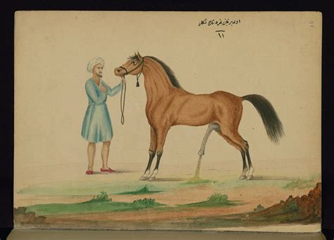 Book on horses, A horse urinating with his erected penis, … | Flickr
