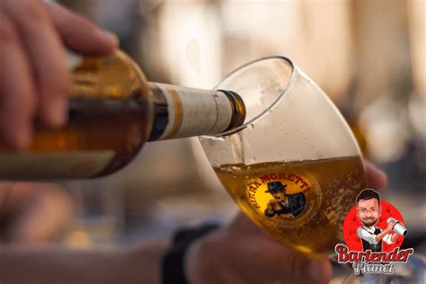 8 BEST Beer Glasses On The Market [Buyers Guide] - BartenderPlanet