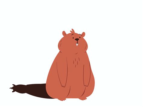 Groundhog by Jennifer Dzieło on Dribbble