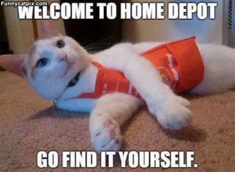 Welcome [www.funnycatpix.com]