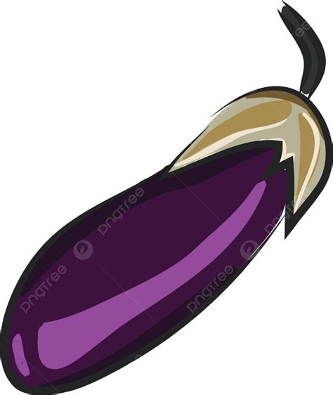 A Purple Eggplantvector Color Illustration Garden Vegetarian Illustration Vector, Garden ...