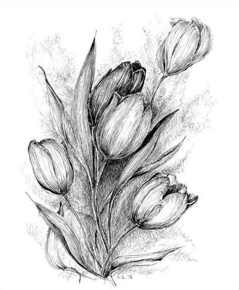 How To Draw a Flower? - 45 Easy Flower Drawings For Beginners