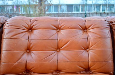Vintage Modular Sectional Brandy Cognac Leather Lounge Sofa, Germany ...