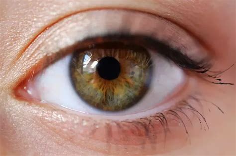 What's the difference between hazel eyes and dark green eyes? - Quora ...