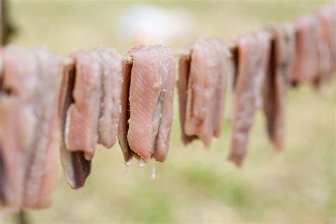 Surströmming: What To Expect From Sweden’s Fermented Fish