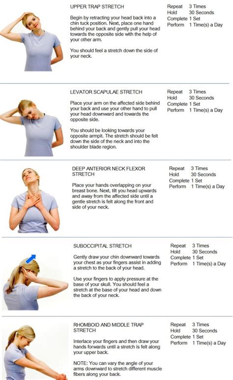 Neck Stretches - Active Chiropractic