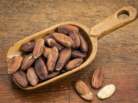 10 Amazing Benefits of Pili Nuts | Organic Facts