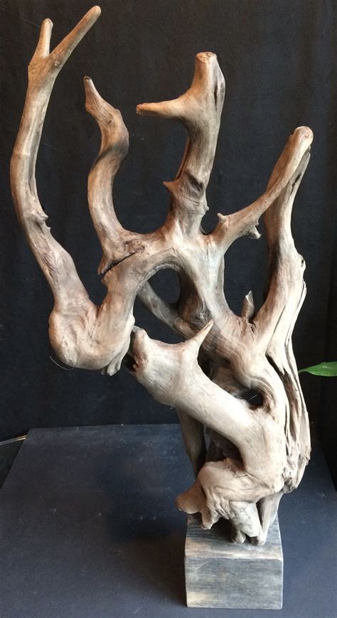 Mounted driftwood | Driftwood art sculpture, Driftwood art, Driftwood sculpture