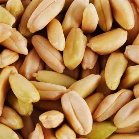 Pili Nut | Nutrition facts-Pili Nut | Health benefits