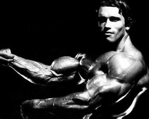 🔥 Free Download Arnold Schwarzenegger Wallpaper by @brianpeterson ...