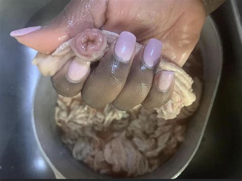 Cleaning chitterlings : r/oddlyterrifying