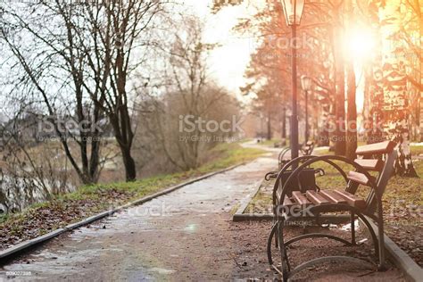 Sunset Park Bench Stock Photo - Download Image Now - Autumn, Backgrounds, Beauty - iStock