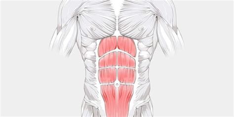 Abdominal Strain - The Complete Injury Guide - Vive Health