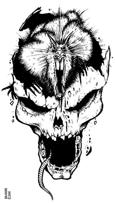 Rat skull by 80sogre on DeviantArt