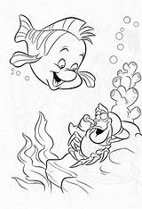 Little Mermaid Flounder Coloring Pages At GetDrawings  Free Download sketch template