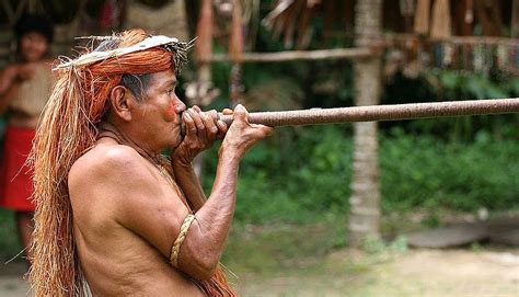 Yahua Blowgun Amazon Iquitos Peru | Rainforest people, Amazon rainforest, Iquitos