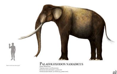 Explore the Best Palaeoloxodon Art | DeviantArt