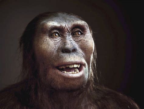 Who is Lucy the Australopithecus? – Google Doodle zum 41. Jahrestag der Entdeckung des ...