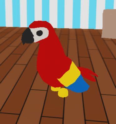 Adopt Me Parrot TRADE | Easter drawings, Parrot wallpaper, Adoption