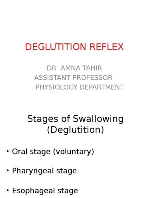 Deglutition Reflex – Lecture | Esophagus | Human Head And Neck