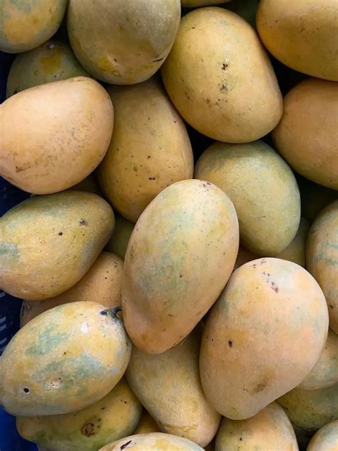 Edible Routes Banganapalli Mangoes - 3 Kg box