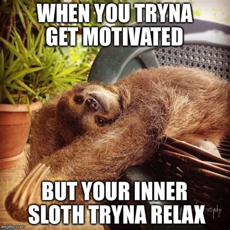 motivated meme - Google Search | Sloth, Sloth life, Healthy mind