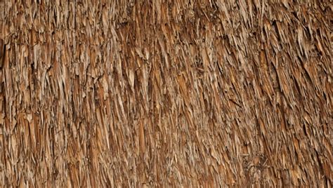 Straw Texture Seamless free for commercial use high quality images