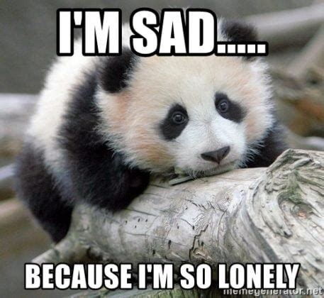 30 Lonely Memes That Will Make You Feel Less Alone - SayingImages.com