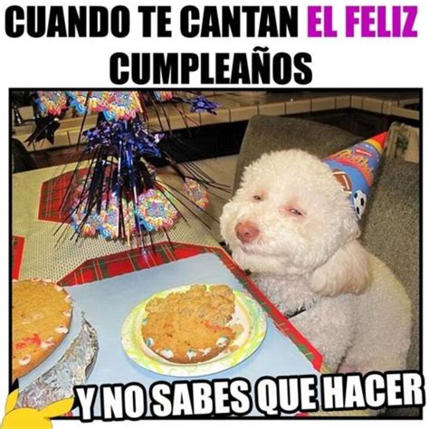 77 Felicitaciones nuevas y graciosas de cumpleaños: Mensajes de Feliz cumpleaños – Ideas nuevas