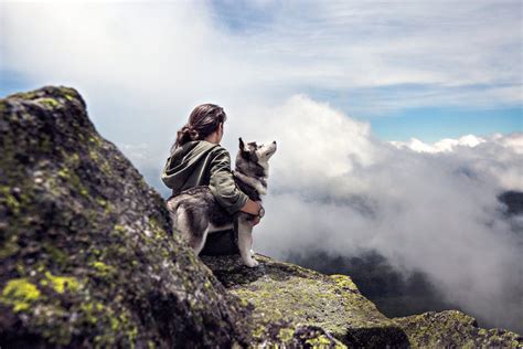 Siberian Husky Beside Woman Sitting on Gray Rock Mountain Hill While Watching Aerial View · Free ...
