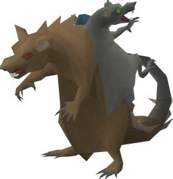 Rat Boss Test NPC - OSRS Wiki