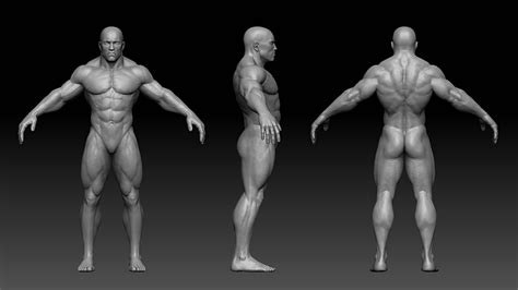 muscular male body 3d model low-poly obj fbx ztl 1 | Character modeling ...