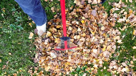 raking-leaves | Geranium Blog